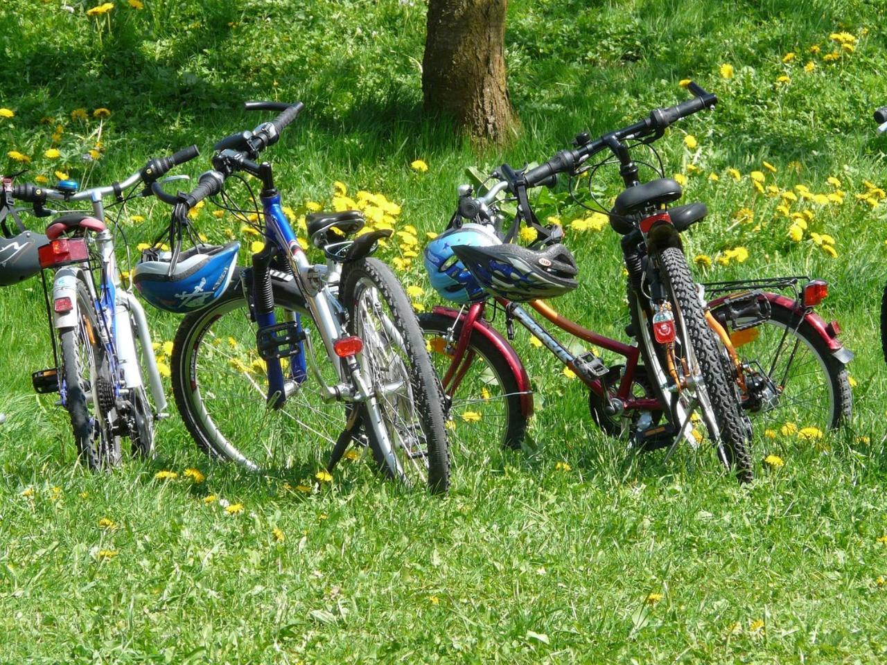 Borgo Carida - Green Family Holidays Zaccanopoli Bagian luar foto